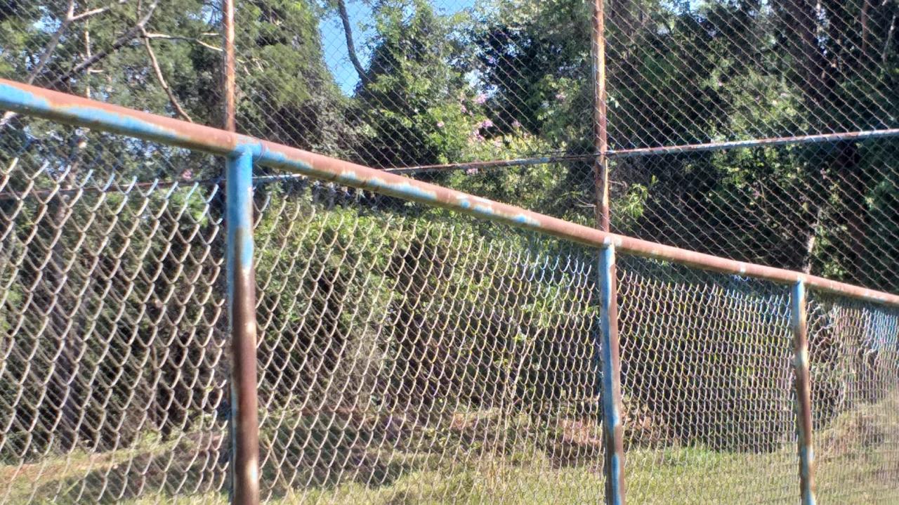 Foto 6 de 21 — Mato toma conta de praça no Maria Luiza; Prefeitura não tem prazo para zeladoria no bairro